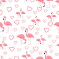 Tropical Bird Flamingo Background - Seamless pattern vector