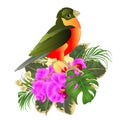 Tropical bird with tropical flowers   floral arrangement, with beautiful orchid and yelow hibiscus,palm,philodendron and ficus Royalty Free Stock Photo