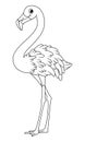 Tropical bird greater flamingo outline cartoon illustration
