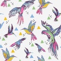 Tropical birds on abstract geometric shapes doodles background Royalty Free Stock Photo