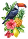 Tropical birds on a branch with fruits on white background. Watercolor hand drawn toucan, hibiscus, lemon and pineapple