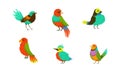 Tropical Birds Collection, Bright Exotic Birds Cartoon Vector Illustration on White Background