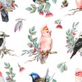Tropical birds and eucalyptus leaves, flowers seamless pattern. Watercolor illustration. Hand drawn pink cockatoo, fairy