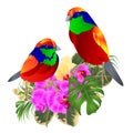 Tropical birds with tropical flowers   floral arrangement, with beautiful orchid and yelow hibiscus,palm,philodendron and ficus Royalty Free Stock Photo