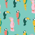 Tropical birds of paradise pattern repeat featuring cockatoo, toucan and parrot vector illustrations in green background Royalty Free Stock Photo