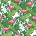 Tropical birds pink flamingo exotic flowers bird of paradise palm leaves - white background Royalty Free Stock Photo