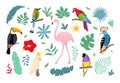 Tropical birds and plants. Jungle wildlife, caribbean flora and fauna, hawaiian bright flowers, exotic leaves, paradise