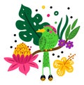 Tropical birds poster. Bright parrot and jungle plants. Rainforest creature. Color hummingbird. Hibiscus flowers. Flying