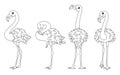 Tropical birds. Set of greater flamingos, outline vector cartoon illustration Royalty Free Stock Photo