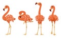 Tropical birds, set of greater flamingos vector cartoon illustration Royalty Free Stock Photo