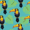 Tropical Birds Toucans Seamless Pattern, Rainforest Tropical Leaves Repeated Pattern Backround