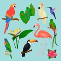 Tropical birds vector flamingo and exotic parrot or hummingbird with palm leaves illustration set of fashion birdie Royalty Free Stock Photo