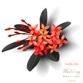 Tropical black leaves and exotic red flower Royalty Free Stock Photo