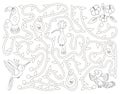 Tropical black and white maze for children. Preschool exotic activity. Funny jungle puzzle with cute parrot, hoopoe and toucan.