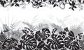 Tropical Black and White Pattern