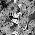 Tropical black and white spotted flowers in a seamless pattern