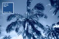 Tropical blue classic background. Palm tree on Easter Island. Color of the year. Coy2020