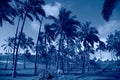 Tropical blue classic background. Palm tree on Easter Island. Color of the year. Coy2020