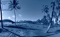 Tropical blue classic background. Palm tree on Easter Island. Color of the year. Coy2020