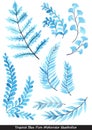 Tropical blue fern leaves watercolor illustration set.
