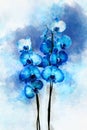 Tropical blue Orchid plant with blue flowers and green leaves. Watercolor drawing. Floral illustration