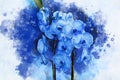 Tropical blue Orchid plant with purple flowers and green leaves. Watercolor drawing. Floral illustration