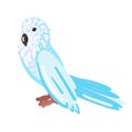 Tropical blue parrot. Cartoon style. Isolated over white background. Vector illustration Royalty Free Stock Photo