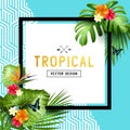 Tropical Border Design Royalty Free Stock Photo