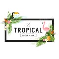 Tropical Border Design Royalty Free Stock Photo