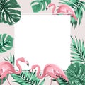 Tropical border frame banner leaves flamingo birds Royalty Free Stock Photo