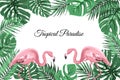 Tropical border frame green leaves pink flamingos