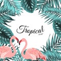 Tropical border frame jungle leaves flamingo birds Royalty Free Stock Photo