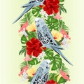 Tropical border seamless background Budgerigar, home pet ,blue pet parakeet on a bouquet with tropical flowers hibiscus, palm,phi