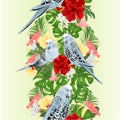 Tropical border seamless background Budgerigars, blue pets parakeets on a bouquet with tropical flowers hibiscus,orchid palm,philo