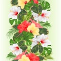 Tropical border seamless background with tropical flowers Hawaiian style floral arrangement, with beautiful white pink and yellow