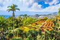 Tropical Botanical Gardens in Funchal, Madeira island, Portugal Royalty Free Stock Photo