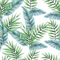 Tropical botany palm leaves watercolor drawing seamless pattern.