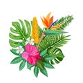 Tropical bouquet with flowers hibiscus, plumeria, strelitzia and palm, monstera leaves. Vector isolated illustration. Royalty Free Stock Photo