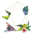 Tropical bouquet flower. Floral botanical flower. Frame border ornament square.