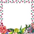 Tropical bouquet flower. Floral botanical flower. Frame border ornament square.