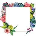 Tropical bouquet flower. Floral botanical flower. Frame border ornament square.