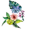 Tropical bouquet flower. Floral botanical flower. Wild spring leaf wildflower isolated.