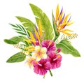 Tropical bouquet. Hand drawn watercolor painting with hibiscus flowers, strelitzia, frangipani and palm leaves isolated on white Royalty Free Stock Photo