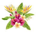 Tropical bouquet. Hand drawn watercolor painting with hibiscus flowers, strelitzia, frangipani and palm leaves isolated on white Royalty Free Stock Photo