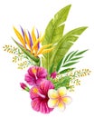 Tropical bouquet. Hand drawn watercolor painting with hibiscus flowers, strelitzia, frangipani and palm leaves isolated on white Royalty Free Stock Photo
