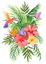Tropical bouquet with palm leaves, exotic flowers, butterflies and hummingbirds