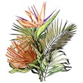 Tropical bouquet with Pincushion protea, Paradise bird flowers and green palm leaves.