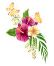 Tropical bouquet. Watercolor painting with pink Chinese Hibiscus rose flowers and butterflies isolated on white background. Floral