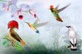 Tropical bright birds and hummingbird on a rainforest background