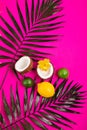 Tropical bright colorful background with exotic tropical palm leaves., coconuts, lime, lemon